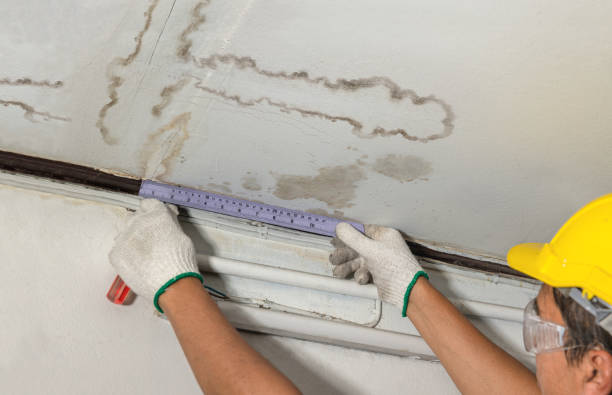 Reliable Mold Remediation contractor in Leverett, MA by Water Damage Irwin